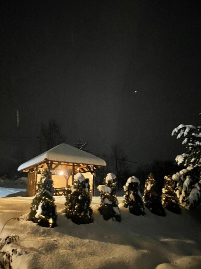 Villa Reset Zlatibor Exteriör bild